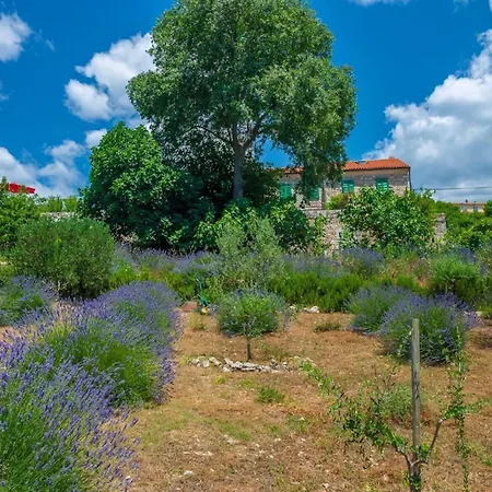 Holiday home In Mit Garten Und Terrasse *